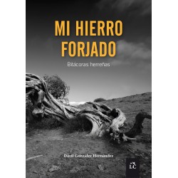 Mi hierro forjado