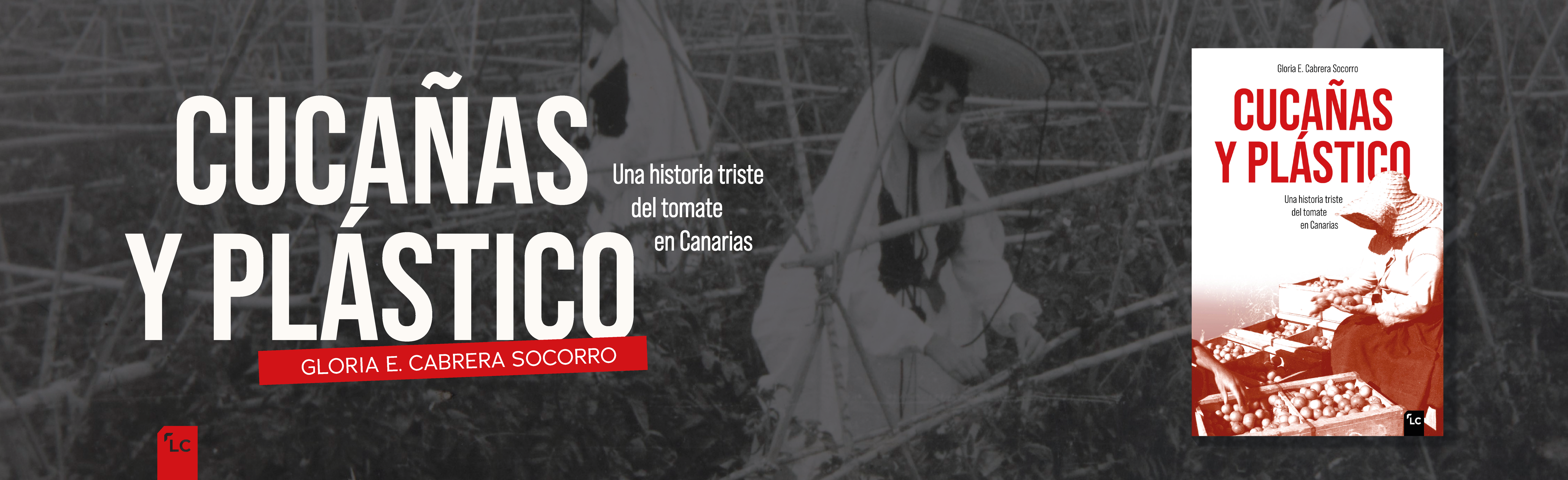 Cucañas y plástico